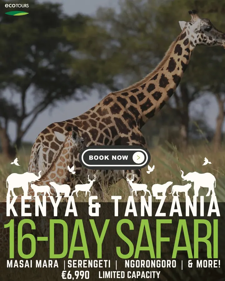 EcoTours. Kenya and Tanzania, 16 days.