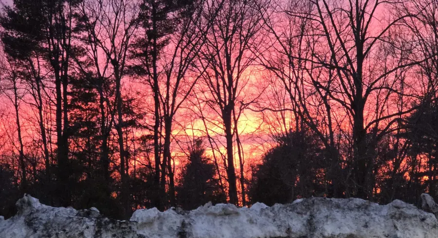 Winter. Sunset treeline, I.
