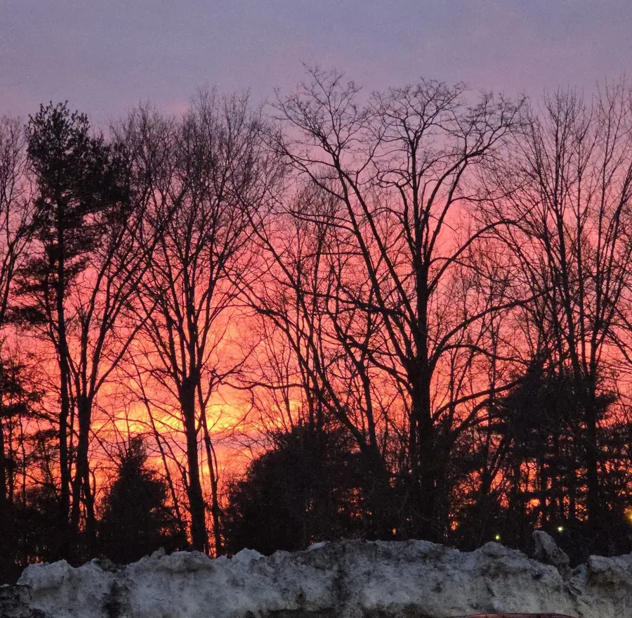 Winter. Sunset treeline, II.